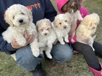 processed/d3259ad4-e2f0-4e9f-80fb-7cce9a6d4664/facility/86876840-200f-4604-bbad-b15ca307db34