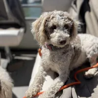 processed/d3259ad4-e2f0-4e9f-80fb-7cce9a6d4664/facility/a89987e3-f6c0-4762-afc3-aaa7224bf59b