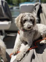 processed/d3259ad4-e2f0-4e9f-80fb-7cce9a6d4664/facility/a89987e3-f6c0-4762-afc3-aaa7224bf59b