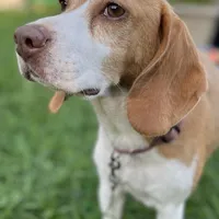 processed/d3259ad4-e2f0-4e9f-80fb-7cce9a6d4664/facility/bd879f72-88fb-4ead-a21f-420e6c87370a