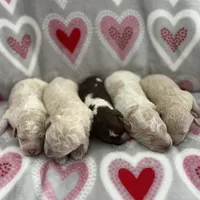 processed/d3259ad4-e2f0-4e9f-80fb-7cce9a6d4664/facility/dda6a273-578a-4819-b4d4-b8d27f7280b8