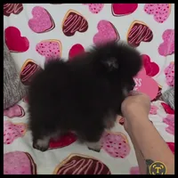 processed/d32a7475-488b-4769-b41d-c2eaacd19611/listing/268f5d2c-ff6c-45c0-9cd9-fb9f8d2d7c0f/09f1e536-5b0e-45df-8b36-6d5423fbbf9b