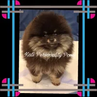 processed/d32a7475-488b-4769-b41d-c2eaacd19611/listing/268f5d2c-ff6c-45c0-9cd9-fb9f8d2d7c0f/b9b22eb6-c3fb-4a63-a6cf-e46c9bb0daec