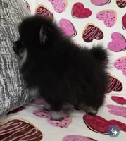 processed/d32a7475-488b-4769-b41d-c2eaacd19611/listing/268f5d2c-ff6c-45c0-9cd9-fb9f8d2d7c0f/eb5071cb-0728-4b6c-af8e-9d8950034509