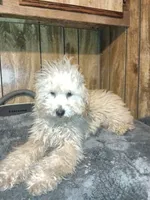 processed/d32dadd6-cfde-4020-913f-11ec16e36b4d/listing/1a121291-1edf-42b5-8348-af0abb304b69/36005b78-2855-4bb7-bf26-7c3be99b237f