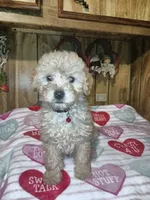 processed/d32dadd6-cfde-4020-913f-11ec16e36b4d/listing/1a121291-1edf-42b5-8348-af0abb304b69/da28934e-8faf-4ef0-90b9-b04a1c42b666