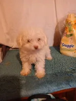 processed/d32dadd6-cfde-4020-913f-11ec16e36b4d/listing/50e9394e-3cd1-46f4-b887-5e82c69306a1/48e8fd8c-74e1-4c0a-85d2-11c358920880