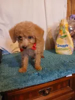 processed/d32dadd6-cfde-4020-913f-11ec16e36b4d/listing/80be0ff6-6b12-4a11-9bdd-0159893edde9/2ca9df35-cf8e-466a-ac7e-22624789c663