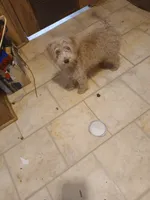 processed/d32dadd6-cfde-4020-913f-11ec16e36b4d/listing/80be0ff6-6b12-4a11-9bdd-0159893edde9/4bc2069b-ea8e-4d6a-84b4-2540a91ec21d