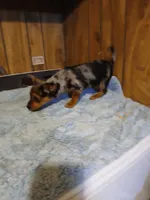 processed/d32dadd6-cfde-4020-913f-11ec16e36b4d/listing/c6a51448-01f1-4186-84b5-b08f7ccb267a/33cc483d-6d63-4953-8974-4f12b3113094