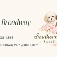 Parker - READY NOW!, a female Shihpoo for sale in Mount Olive, NC – Photo 9 of 9