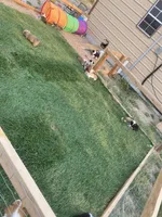 processed/d333e413-f749-46d8-9f82-dbbbbd51e72e/facility/e4c64a88-ce0a-497c-9fbb-c6fd8fc9a4e2