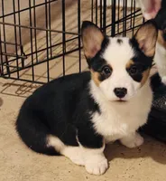 processed/d333e413-f749-46d8-9f82-dbbbbd51e72e/listing/dfccde3d-a5de-457f-b9c6-acfb2fead7c4/196bf45a-eca2-41cb-8f6a-79a1d664c14b