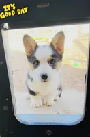 processed/d333e413-f749-46d8-9f82-dbbbbd51e72e/listing/dfccde3d-a5de-457f-b9c6-acfb2fead7c4/d55e3af0-8cb1-4b08-a48d-75e89bc23e94