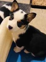 processed/d333e413-f749-46d8-9f82-dbbbbd51e72e/listing/dfccde3d-a5de-457f-b9c6-acfb2fead7c4/dcc8f8cd-5fab-488f-80dc-eb3fd0e79e6b