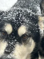 processed/d33e1f2f-7060-4ece-a240-9b92e634f31b/facility/21b90c28-f0e4-4bdb-92d1-0b91b6669130