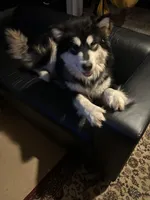 processed/d33e1f2f-7060-4ece-a240-9b92e634f31b/facility/279516bb-e17c-4d08-8efb-abc06277b3f6