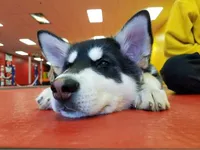 processed/d33e1f2f-7060-4ece-a240-9b92e634f31b/facility/4c332045-7eaa-4eb7-bf18-b3ba804ac20b