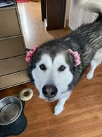 processed/d33e1f2f-7060-4ece-a240-9b92e634f31b/facility/4c5e0c0f-2f68-467d-a187-eff81999dbcd