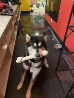 processed/d33e1f2f-7060-4ece-a240-9b92e634f31b/facility/cddbc9b7-c83a-4480-a075-813d1e1ee206