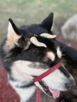 processed/d33e1f2f-7060-4ece-a240-9b92e634f31b/facility/d7221696-4fb2-432c-90cb-a9b035cd8fec