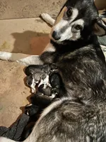 processed/d33e1f2f-7060-4ece-a240-9b92e634f31b/facility/f8c5f8f2-09a4-44fe-b666-f7440b993af9