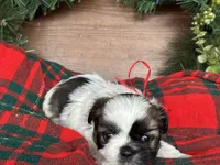 processed/d342c262-4142-4991-957d-752b8e3d7b23/listing/54b7b385-1e96-4cae-bc4d-e065ff48201d/1bd0d159-59ab-4302-8152-509b4a0308c2