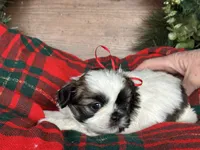 processed/d342c262-4142-4991-957d-752b8e3d7b23/listing/54b7b385-1e96-4cae-bc4d-e065ff48201d/299b181c-99a3-4adb-aea5-5c13f39690e9