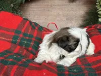 processed/d342c262-4142-4991-957d-752b8e3d7b23/listing/54b7b385-1e96-4cae-bc4d-e065ff48201d/59147515-7cea-4550-bbf3-4b7d702b3771