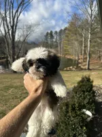 processed/d342c262-4142-4991-957d-752b8e3d7b23/listing/54b7b385-1e96-4cae-bc4d-e065ff48201d/5ddeb15f-0508-48f0-983a-40b3a8034518