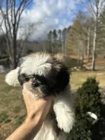 processed/d342c262-4142-4991-957d-752b8e3d7b23/listing/54b7b385-1e96-4cae-bc4d-e065ff48201d/5f778be6-ec19-468f-b672-254bd91659cf