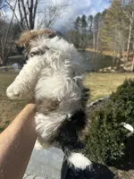 processed/d342c262-4142-4991-957d-752b8e3d7b23/listing/54b7b385-1e96-4cae-bc4d-e065ff48201d/6b3a726c-5ddf-428e-b2c4-c7e5a388ee23