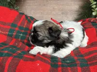 processed/d342c262-4142-4991-957d-752b8e3d7b23/listing/54b7b385-1e96-4cae-bc4d-e065ff48201d/99daeacf-ba7e-4087-b52a-9e9900172040