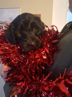 processed/d344fdc8-e2a8-48ad-af8f-56401f0f0077/listing/28aef342-815d-41c6-98a0-e154fda701b4/129b87f8-15e5-4d31-9f99-78888b2a0b60