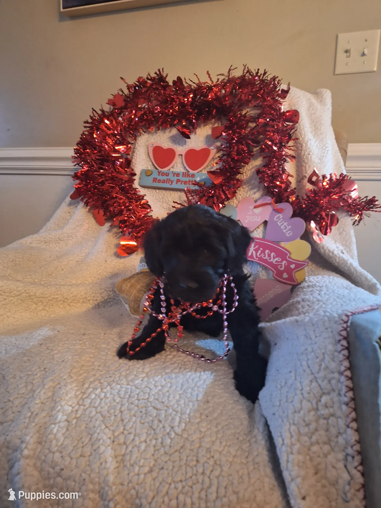 processed/d344fdc8-e2a8-48ad-af8f-56401f0f0077/listing/28aef342-815d-41c6-98a0-e154fda701b4/35ed606b-2c89-469e-8809-bd3e1f62d048