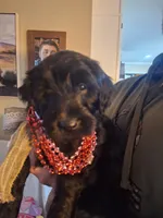 processed/d344fdc8-e2a8-48ad-af8f-56401f0f0077/listing/28aef342-815d-41c6-98a0-e154fda701b4/458030c1-a539-49f0-9899-799dc409c87c