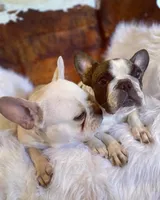 processed/d3491c32-2679-4b4d-b6fa-1397747bcd97/facility/03130183-3431-4b9b-9adf-c2160b2dbe2e