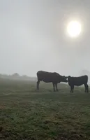 processed/d3491c32-2679-4b4d-b6fa-1397747bcd97/facility/4acc20c9-6ad9-467c-9ee8-67232bdae32a