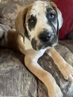 processed/d3491c32-2679-4b4d-b6fa-1397747bcd97/facility/78b2d4c1-a8d1-4719-a446-2de80649ac02