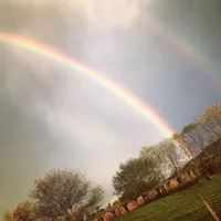 processed/d3491c32-2679-4b4d-b6fa-1397747bcd97/facility/89119df1-af2b-4c29-b14c-8ea51cb5d00a