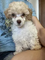 processed/d3491c32-2679-4b4d-b6fa-1397747bcd97/facility/c3cb9bdb-b4ba-4f20-be6a-afbc1a34d381