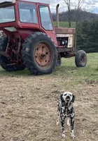 processed/d3491c32-2679-4b4d-b6fa-1397747bcd97/facility/d25b4fd8-6963-4f3b-ab40-0a82392ddd4a