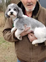 processed/d34d0935-50b8-40e7-b13b-f39998f4ed91/facility/006baa9b-8116-46c2-a971-e9811f7b1b84