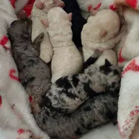 processed/d34d0935-50b8-40e7-b13b-f39998f4ed91/facility/487faf83-1a7b-4aa8-9245-4f3e2a9ef466