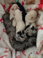 processed/d34d0935-50b8-40e7-b13b-f39998f4ed91/facility/487faf83-1a7b-4aa8-9245-4f3e2a9ef466