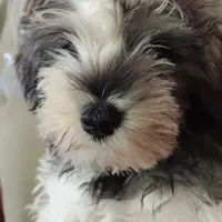 processed/d34d0935-50b8-40e7-b13b-f39998f4ed91/facility/5128f0e1-d527-40c9-bcf1-12f3106bd22d