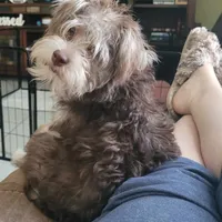 processed/d34d0935-50b8-40e7-b13b-f39998f4ed91/facility/630a4ee1-a5c8-42e4-842c-479a5c7d944e