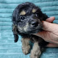 processed/d34d0935-50b8-40e7-b13b-f39998f4ed91/facility/af1184db-a862-4f91-befe-7dcb1309dffc