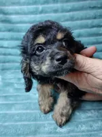 processed/d34d0935-50b8-40e7-b13b-f39998f4ed91/facility/af1184db-a862-4f91-befe-7dcb1309dffc