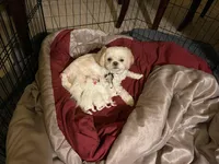 processed/d352e27b-b341-4ac7-b9ed-3eb49a9ad763/facility/33bbe794-3431-44fb-b08f-39e875128cca